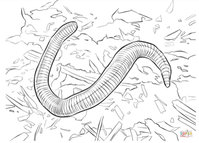 Worm Coloring Page Graphic